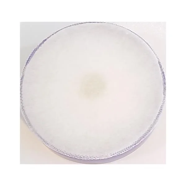 Dyson DC07/14 dc14 HEPA Filter Assembly - Image 4