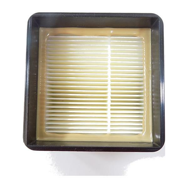 Royal Dirt Devil Filter, Exhaust F51