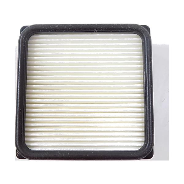 Royal Dirt Devil Filter, Exhaust F51
