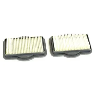 Dirt Devil Broom Vacuum Series BV2010 Style F-19 Filter 2 Pk