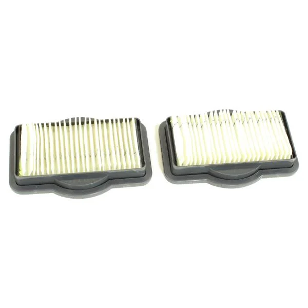 Dirt Devil Broom Vacuum Series BV2010 Style F-19 Filter 2 Pk