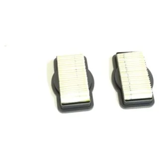 Dirt Devil Broom Vacuum Series BV2010 Style F-19 Filter 2 Pk