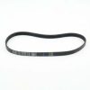 NEW POLY V BELT 6000 SYMMETRY SERPENTINE LIFETIME riccar and simplicity
