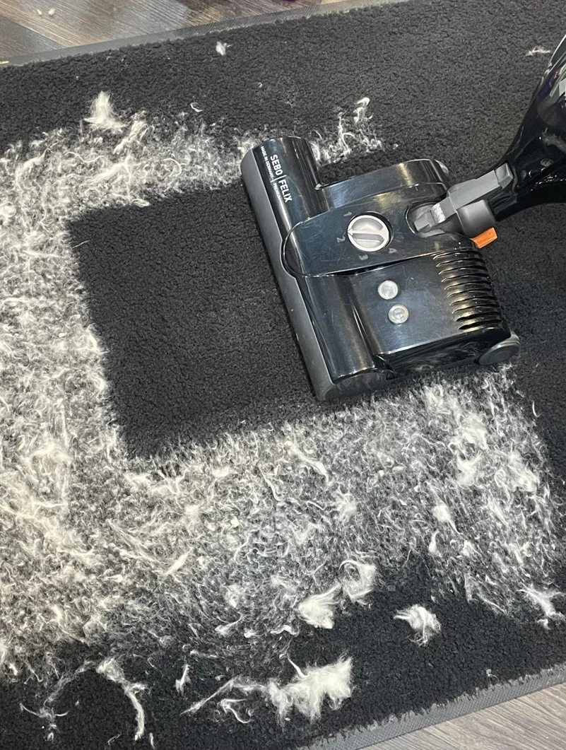 Sebo Felix Onyx Upright Vacuum with 10 Year Warranty - Image 4