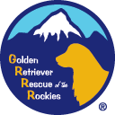 Golden retriever rescue of the rockies