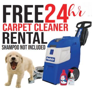 Free 24 hour carpet shampooer/cleaner rental