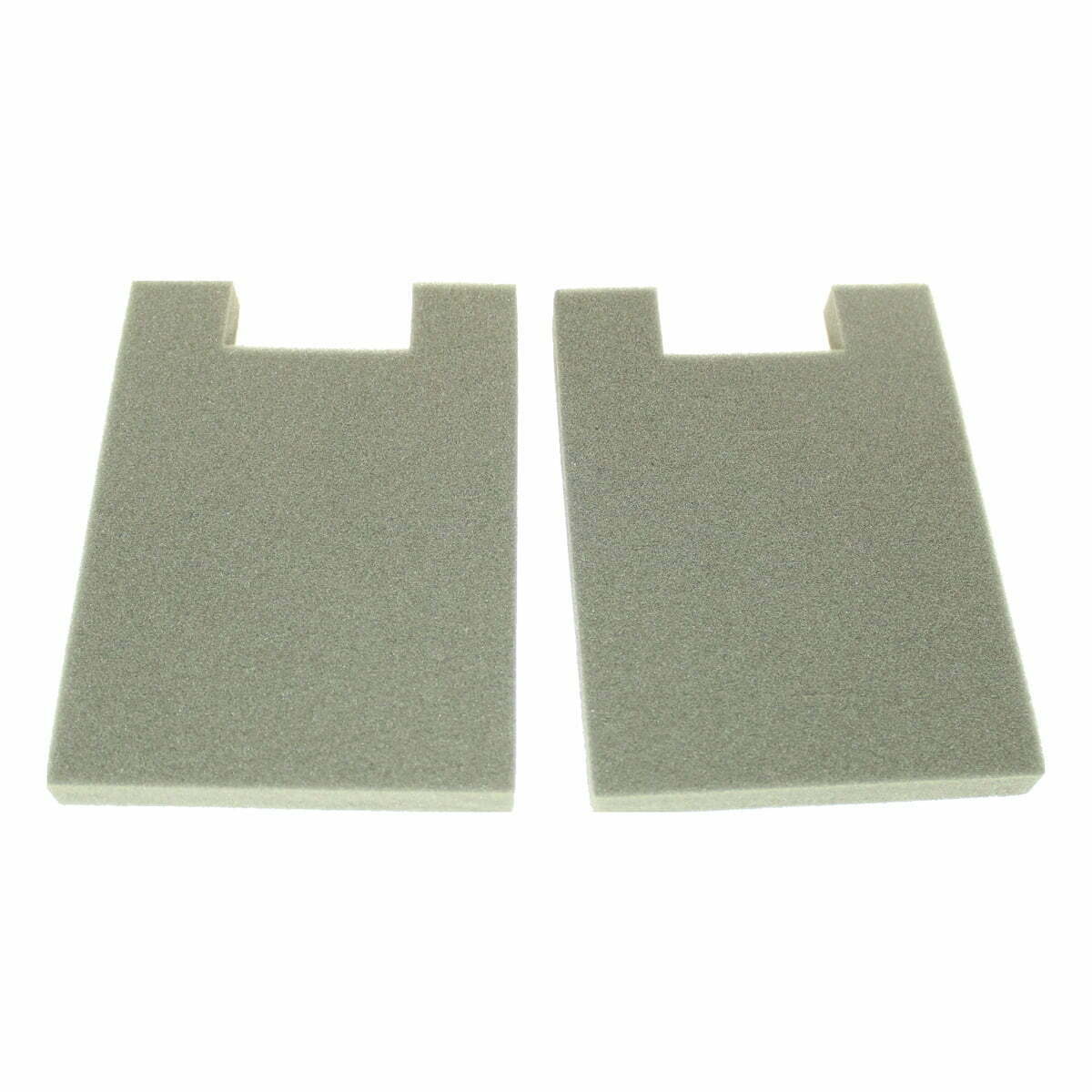 Genuine Eureka DCF 16 Foam Filter 2pk