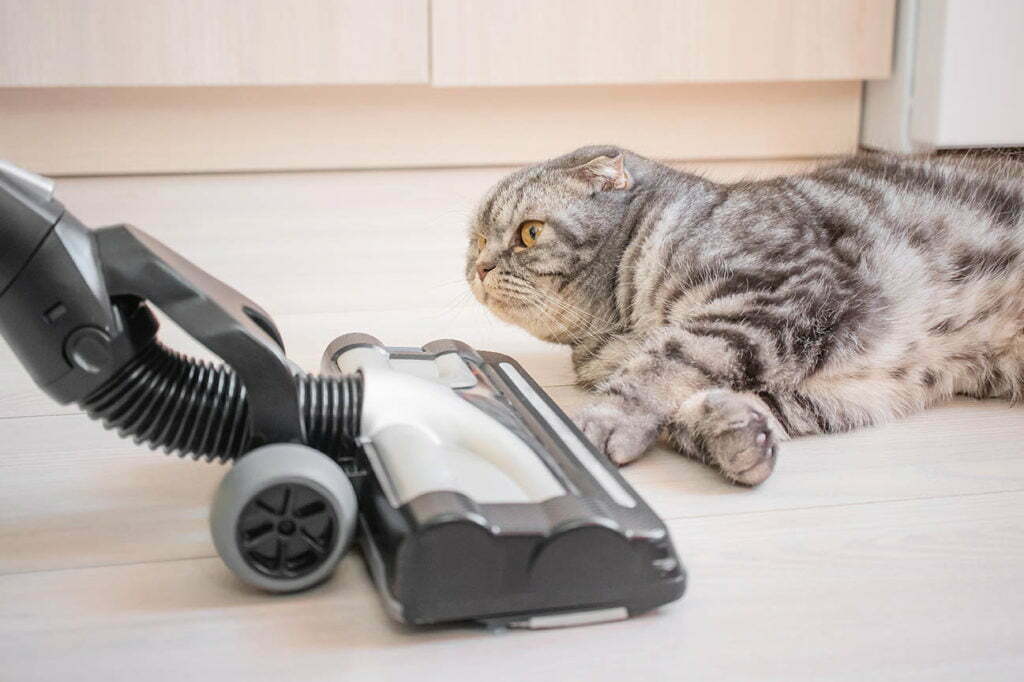 SEBO: The Anti-Allergy Vacuum Cleaner