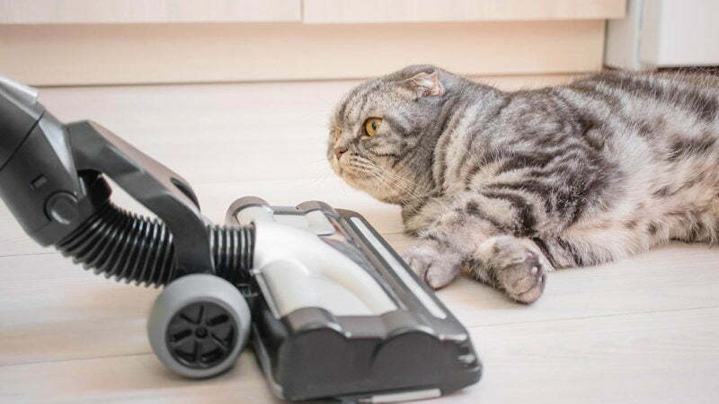 SEBO: The Anti-Allergy Vacuum Cleaner