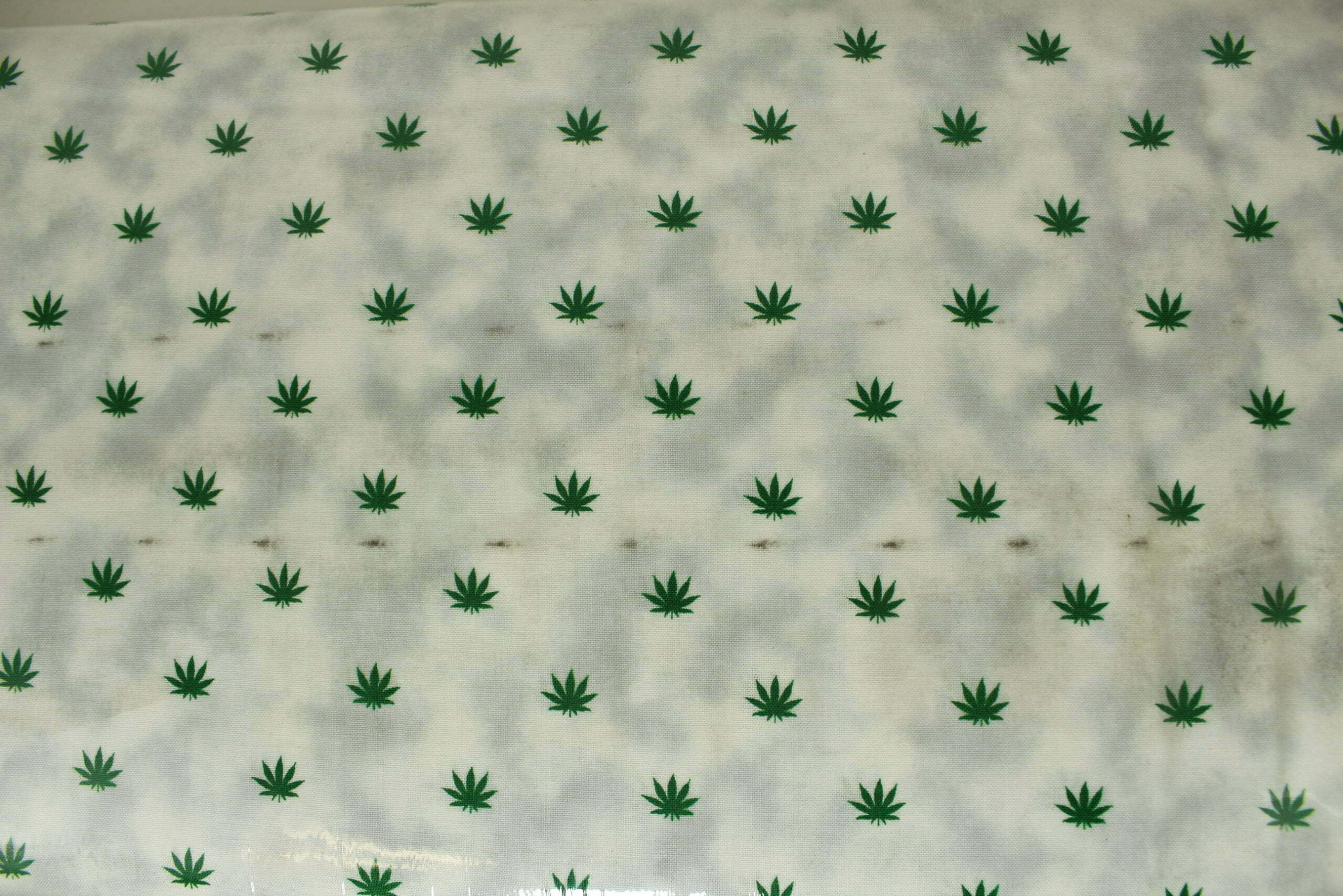 Windham Fabrics Blend by Whistler Studios Earth Greens White Cotton - Image 4
