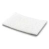 Secondary Filter Electrost- stic Bulk (BRLS) Part Number B480-5500 for Simplicity Models BRLS, BRLD, BRLD.USA, BRLD.LE, BRLD.RETRIEVER, BRLP,SCRS, SCRD, SCRD.FETCH, SCRD.LE, SCRP