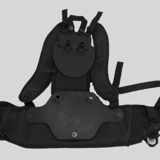 Backplate Assy, W/Harness 2-Pc Lil' Hummer/Sierra Part Number: 103393 for Proteam