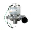 Motor, 9" 240V Ball/Ball Tangential Flo-Tek Part Number: 119896-04 for Lamb