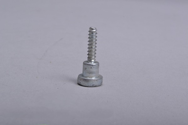 Screw-B/P Lock-Bernina (All Models) For: evolution-bernina