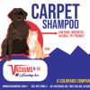 Vacuums R Us Carpet Shampoo