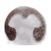 Genuine Janome/Elna SNAP RING