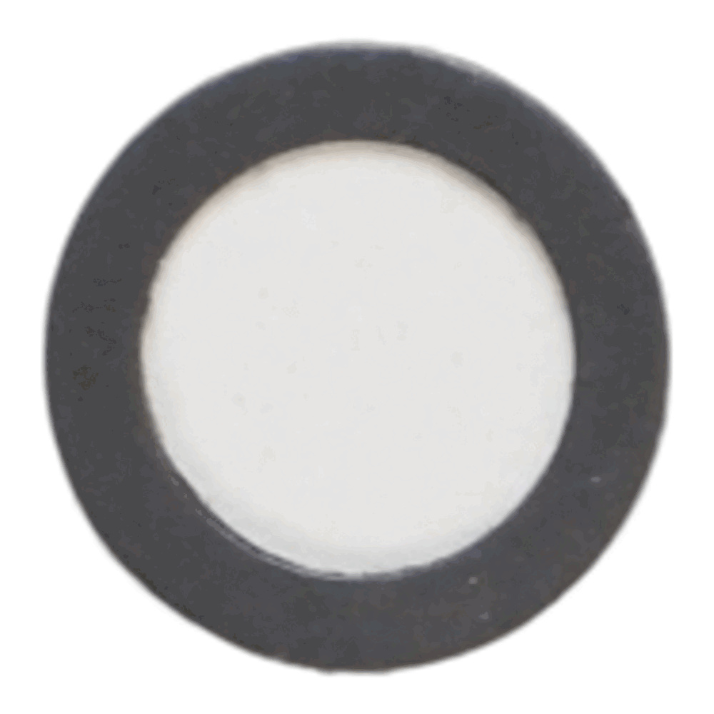 Genuine Janome/Elna WASHER