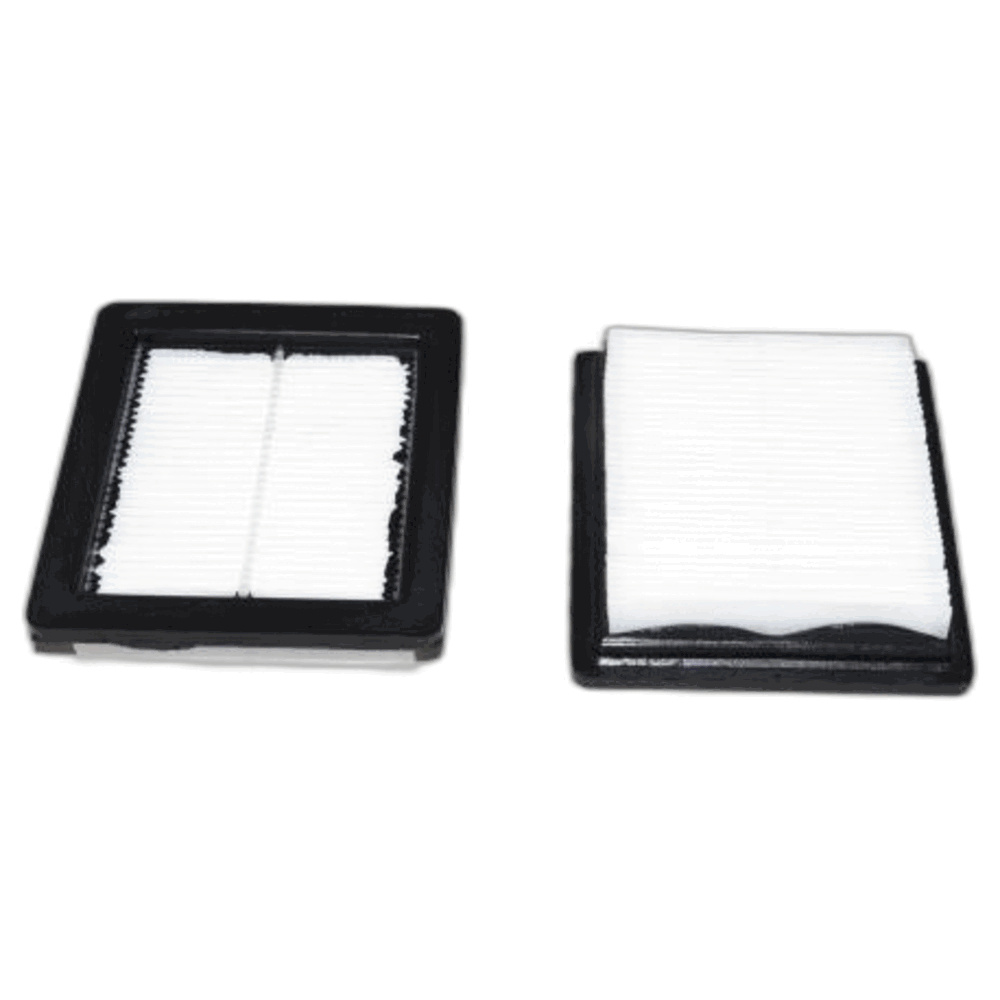 Proteam Filter Hepa 2pk-proteam Gofit Back Pack