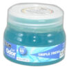 Stain-X Odor Elininating Gel 14oz Triple Fresh Stain-X