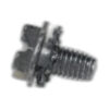 Windsor Screw-windsor Cadet