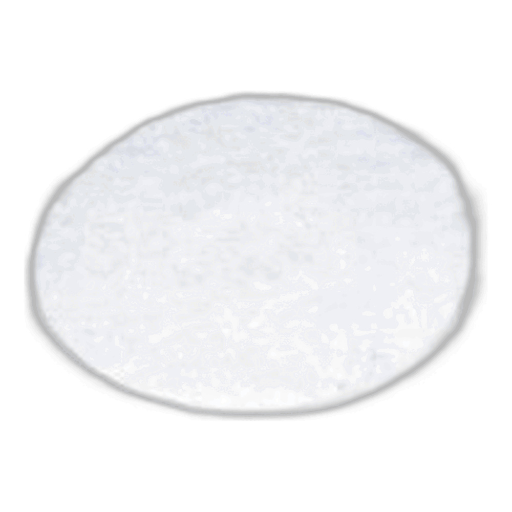 Kenmore Swivel Seal
