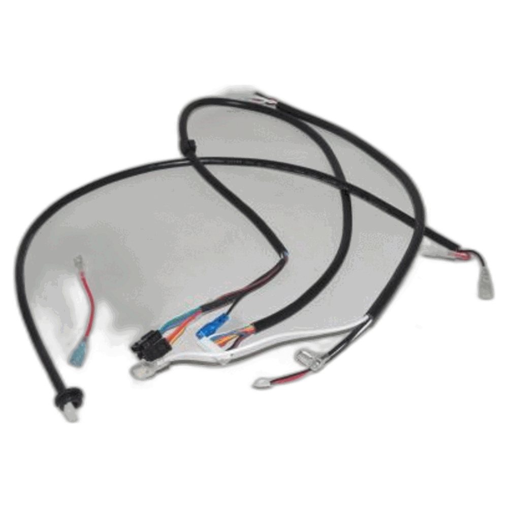 Wire Harness Kit- Includes #19 (R25D, R25P) Part Number B603-1200 for Riccar Models R25S, R25D, R25P,R25S, R25D, R25P