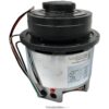 Motor,Floor Machine,120,VAC,Tianan,2 Speed