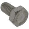 SCREW HEX HD CAP 5/16 18 X 5/8 (SS)