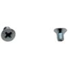 Screw M4x6 M/S Zinc PH Flat