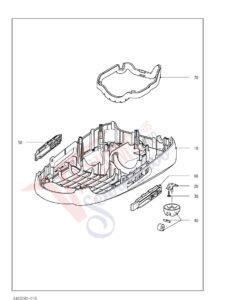 S5981