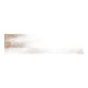Emb Thread Orange 250M