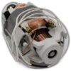 Genuine Miele AC motor 120V