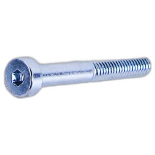 Screw-M4X30 Skc Ss Low