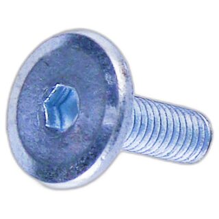 Screw-M6 X 18 W/16Mm Swh